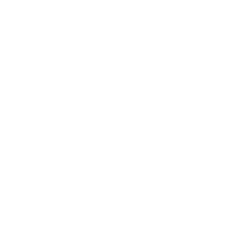 STV — Sua Maior Segurança
